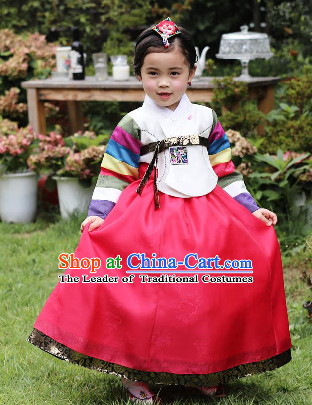 Asian Korean National Traditional Handmade Formal Occasions Girls Embroidery Hanbok Costume White Blouse and Red Dress Complete Set for Kids