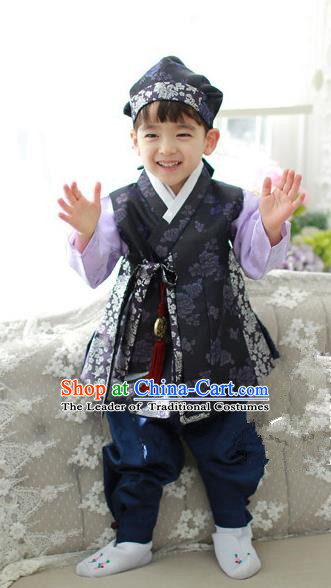 Asian Korean National Traditional Handmade Formal Occasions Boys Embroidery Purple Hanbok Costume Complete Set for Kids