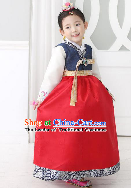 Traditional Korean National Handmade Formal Occasions Girls Palace Hanbok Costume Embroidered Navy Blouse and Red Dress for Kids