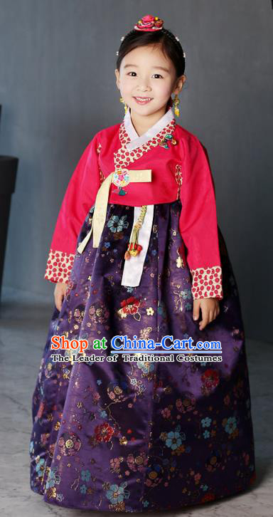 Asian Korean National Traditional Handmade Formal Occasions Girls Embroidery Hanbok Costume Red Blouse and Purple Dress Complete Set for Kids