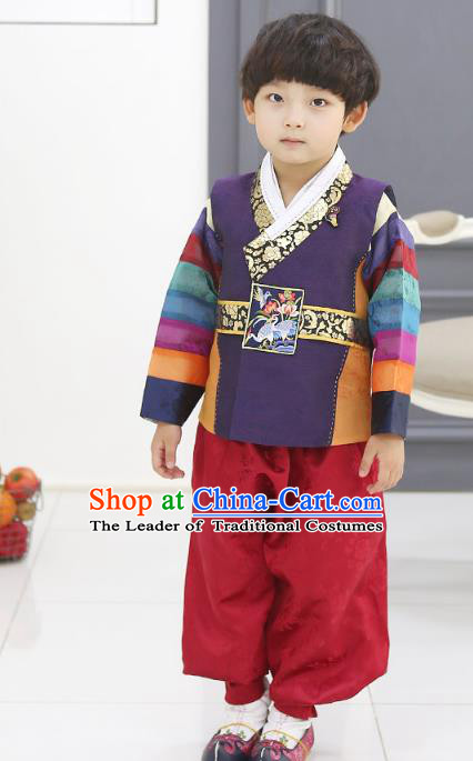 Asian Korean National Traditional Handmade Formal Occasions Boys Embroidery Purple Hanbok Costume Complete Set for Kids