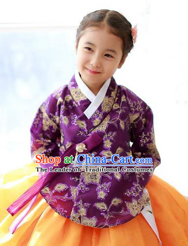 Korean National Handmade Formal Occasions Girls Embroidery Hanbok Costume Purple Blouse for Kids