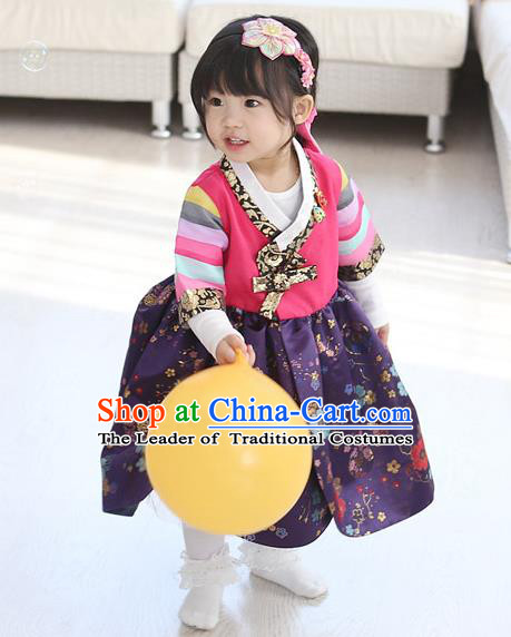 Traditional Korean National Handmade Formal Occasions Girls Embroidery Hanbok Costume Pink Blouse and Purple Dress Complete Set for Kids