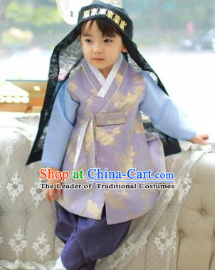 Asian Korean National Traditional Handmade Formal Occasions Boys Embroidery Lilac Hanbok Costume Complete Set for Kids