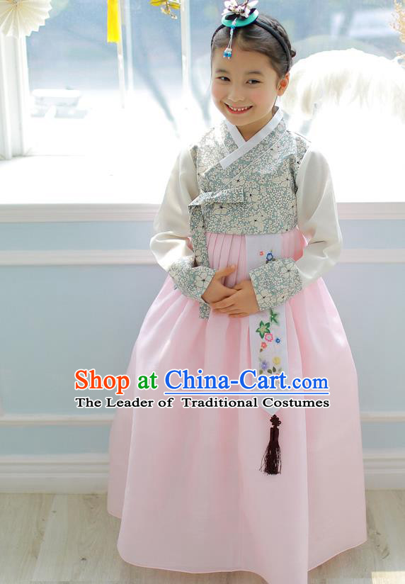 Asian Korean National Handmade Formal Occasions Embroidery Blouse and Pink Dress Hanbok Costume for Kids