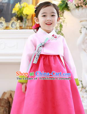 Asian Korean National Handmade Formal Occasions Embroidery Blouse and Pink Dress Hanbok Costume for Kids