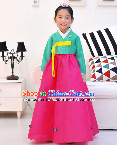 Asian Korean National Handmade Formal Occasions Wedding Embroidered Green Blouse and Pink Dress Traditional Palace Hanbok Costume for Kids