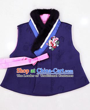 Asian Korean National Traditional Handmade Formal Occasions Embroidered Blue Hanbok Waistcoat for Kids