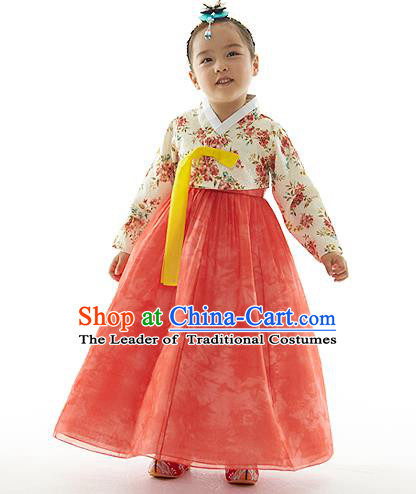 Asian Korean National Handmade Formal Occasions Printing Blouse and Pink Dress Palace Hanbok Costume for Kids