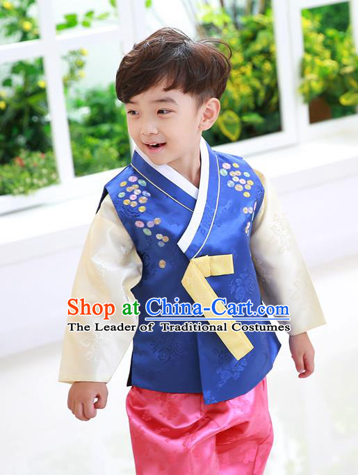 Asian Korean National Traditional Handmade Formal Occasions Boys Embroidery Blue Vest Hanbok Costume Complete Set for Kids