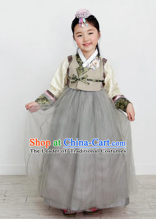 Asian Korean National Handmade Formal Occasions Wedding Clothing Grey Blouse and Dress Palace Hanbok Costume for Kids