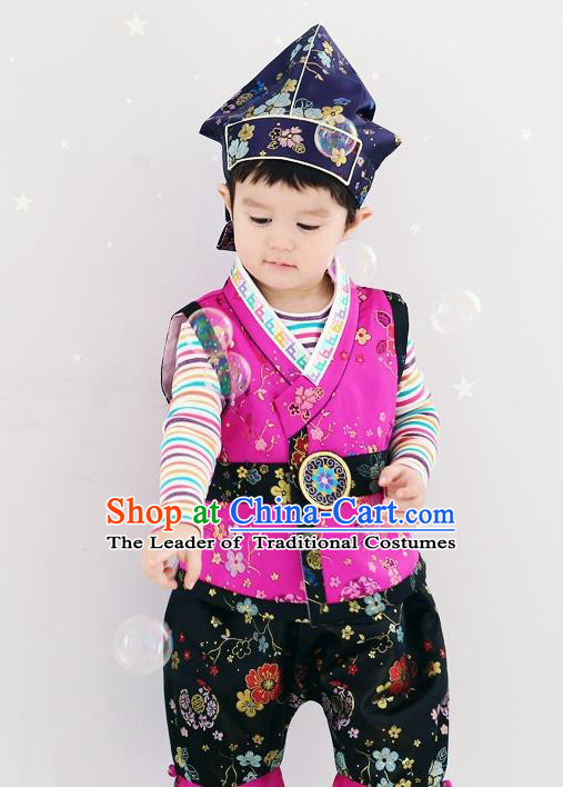 Asian Korean National Traditional Handmade Formal Occasions Boys Embroidery Rosy Vest Hanbok Costume Complete Set for Kids