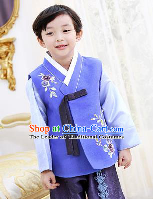 Korean National Handmade Formal Occasions Boys Hanbok Embroidered Blue Costume Complete Set for Kids