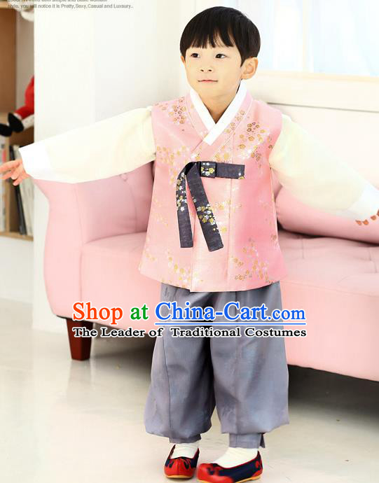 Asian Korean National Traditional Handmade Formal Occasions Boys Embroidery Pink Vest Hanbok Costume Complete Set for Kids