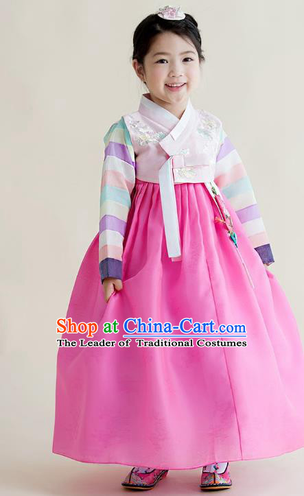 Asian Korean National Handmade Formal Occasions Wedding Girls Clothing Embroidered Pink Blouse and Dress Palace Hanbok Costume for Kids