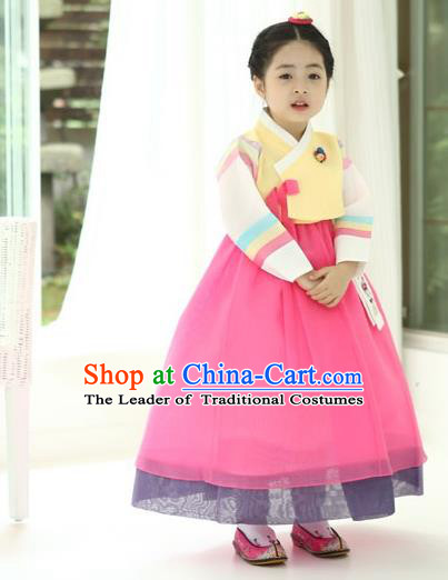 Asian Korean National Handmade Formal Occasions Wedding Girls Clothing Palace Hanbok Costume Embroidered Yellow Blouse and Pink Dress for Kids