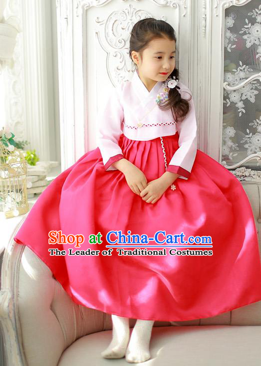 Korean National Handmade Formal Occasions Girls Clothing Palace Hanbok Costume Embroidered Pink Blouse and Red Dress for Kids