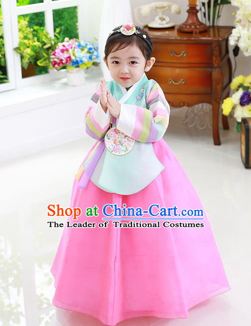 Korean National Handmade Formal Occasions Girls Clothing Palace Hanbok Costume Embroidered Green Blouse and Pink Dress for Kids