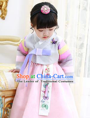 Korean National Handmade Formal Occasions Girls Clothing Palace Hanbok Costume Embroidered Grey Blouse and Pink Dress for Kids