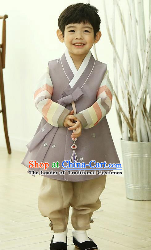 Asian Korean National Traditional Handmade Formal Occasions Boys Embroidery Grey Vest Hanbok Costume Complete Set for Kids