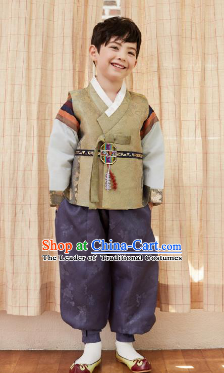 Asian Korean National Traditional Handmade Formal Occasions Boys Embroidery Brown Vest Hanbok Costume Complete Set for Kids