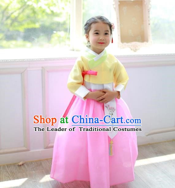 Traditional Korean National Handmade Formal Occasions Girls Clothing Palace Hanbok Costume Embroidered Yellow Blouse and Pink Dress for Kids