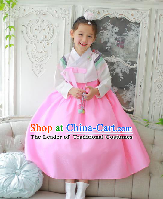 Traditional Korean National Handmade Formal Occasions Girls Clothing Palace Hanbok Costume Embroidered White Blouse and Pink Dress for Kids