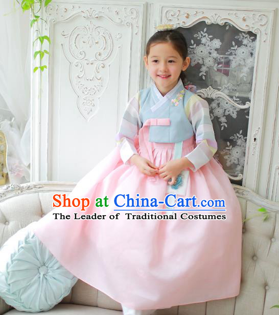 Traditional Korean National Handmade Formal Occasions Girls Clothing Palace Hanbok Costume Embroidered Blue Blouse and Pink Veil Dress for Kids