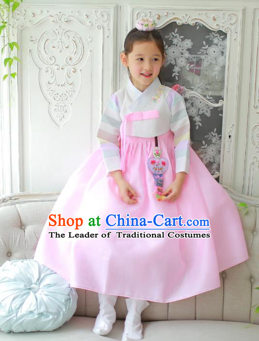 Traditional Korean National Handmade Formal Occasions Girls Clothing Palace Hanbok Costume Embroidered White Blouse and Pink Dress for Kids