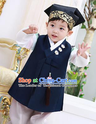 Asian Korean National Traditional Handmade Formal Occasions Boys Embroidery Navy Vest Hanbok Costume Complete Set for Kids