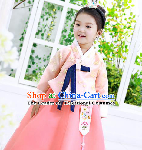 Traditional Korean National Handmade Formal Occasions Girls Palace Hanbok Costume Embroidered Pink Blouse and Dress for Kids