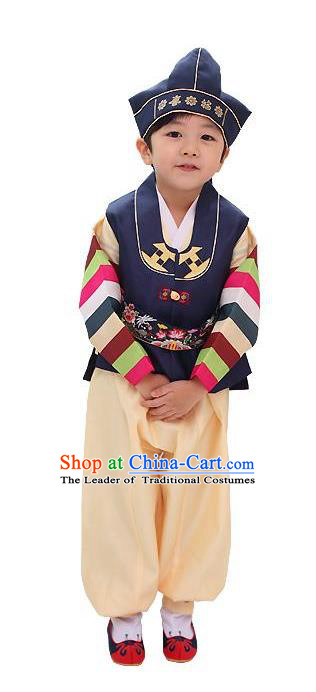 Traditional Korean Handmade Hanbok Embroidered Navy Clothing, Asian Korean Apparel Hanbok Embroidery Bridegroom Costume for Kids