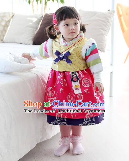 Traditional Korean National Handmade Court Embroidered Clothing, Asian Korean Bride Hanbok Costume for Kids