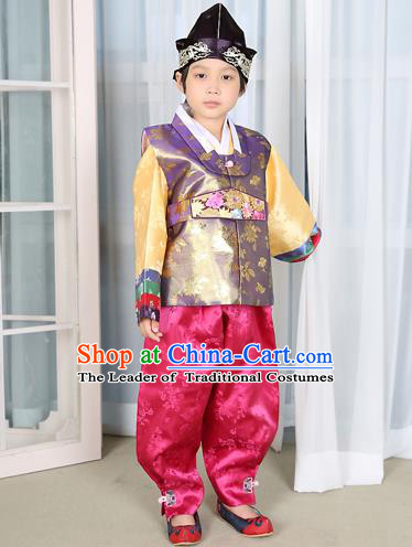 Traditional Korean National Handmade Court Embroidered Purple Costume, Asian Korean Boys Hanbok Clothing for Kids