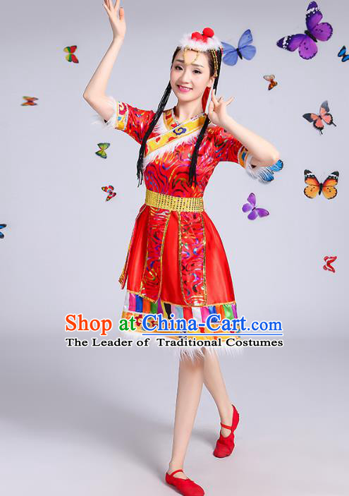 Traditional Chinese Mongol Nationality Dance Costume, Mongols Female Folk Dance Ethnic Pleated Skirt Minority Embroidery Clothing for Women