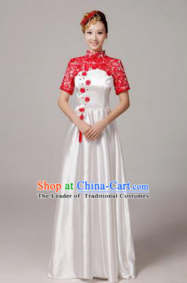 Traditional Chinese Modern Dancing Costume, Women Opening Classic Chorus Singing Group Dance Hollow Out Costume, Modern Dance Long Dress for Women