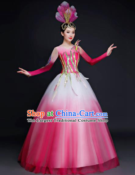 Professional Opening Dance Costume Modern Dance Stage Performance Pink Dress for Women