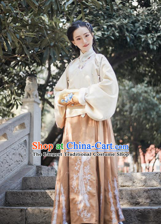 Chinese Ancient Ming Dynasty Princess Hanfu Dress Traditional Embroidered Costumes for Women