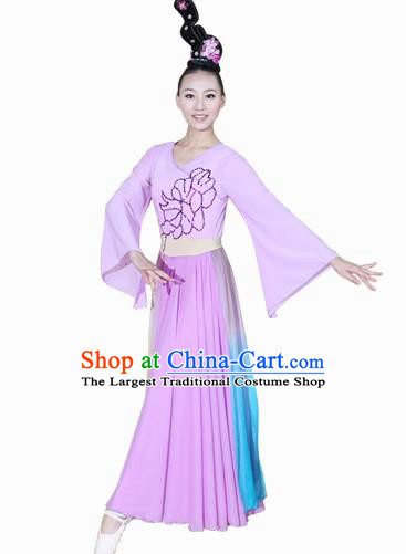 Chinese Traditional Folk Dance Lilac Dress Classical Dance Costume for Women