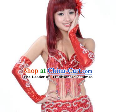 Indian Belly Dance Red Sleevelet India Raks Sharki Accessories Raglan Sleeve for Women