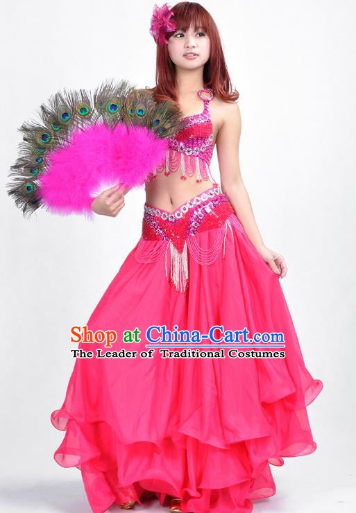 Indian Belly Dance Rosy Dress Bollywood Oriental Dance Clothing for Women