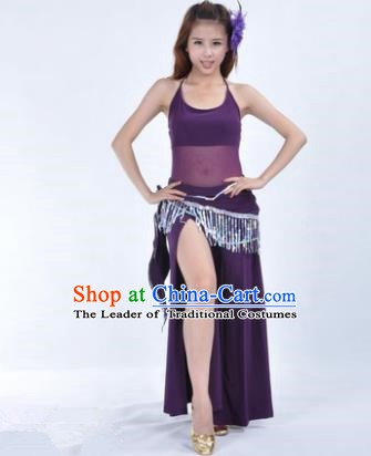 Traditional Indian National Belly Dance Purple Dress India Oriental Dance Costume for Women