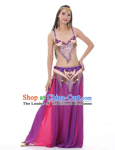 Indian National Belly Dance Clothing India Oriental Dance Sexy Purple Dress for Women