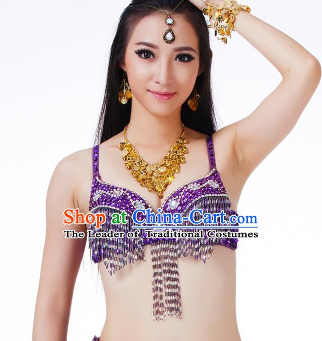 Traditional Belly Dance Purple Tassel Brassiere Upper Outer Garment Indian Oriental Dance Costume for Women