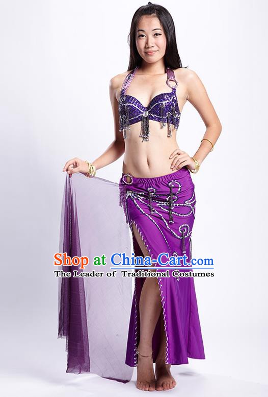 Top Grade Performance Clothing Belly Dance Purple Dress Indian Oriental Dance Costume for Women