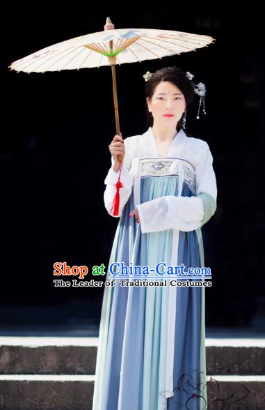 Chinese Ancient Palace Lady Blue Dress Tang Dynasty Princess Embroidered Costume for Women