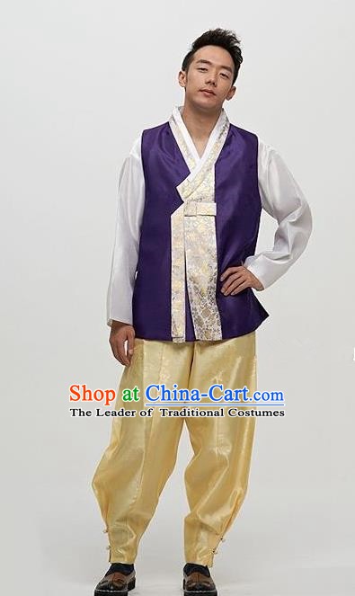 Asian Korean Traditional Male Purple Hanbok Ancient Palace Bridegroom Costumes for Men