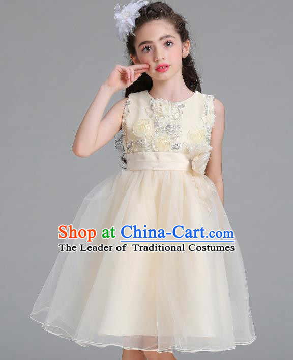 Children Models Show Compere Costume Stage Performance Catwalks Champagne Veil Full Dress for Kids