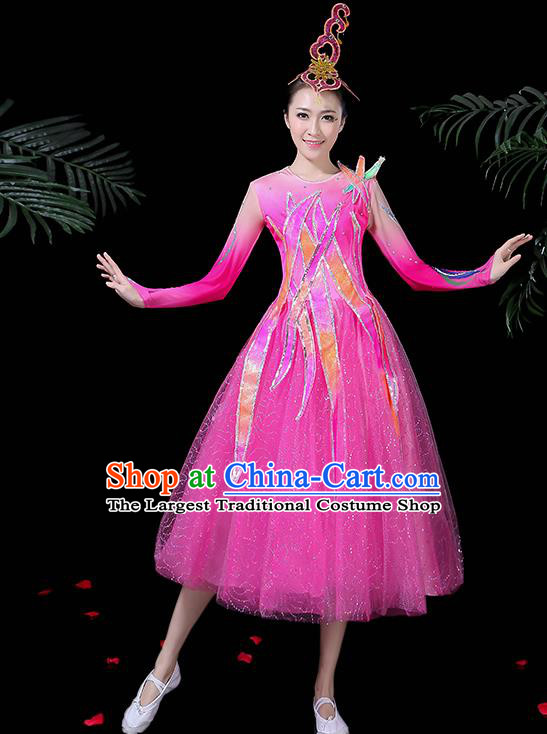 Professional Modern Dance Costume Chorus Folk Dance Pink Veil Dress for Women