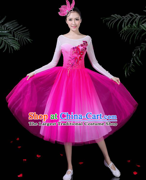 Professional Stage Performance Modern Dance Costume Chorus Rosy Dress for Women